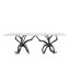 Glass Dining Table