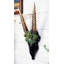 Ensemble de figurine Breon