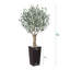 Olive artificielle résistante aux rayons UV avec grand pot de fleurs, olivier artificiel pour la décoration extérieure-1274532125-1268355004