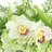 Arrangement in Vase