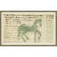 Green Horse - Mennonite Ledger Drawing Giclee Print by Soicher Marin Archives-62720783-62720784-62720785