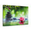 «Stones and Waterlily Forest Floral Nature», art mural sur toile-880693322