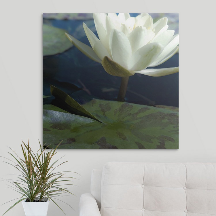 « ii » par jennifer broussard, reproduction de photo Water Lilies, H 35 po x l 35 po x P 1,5 po, Toile