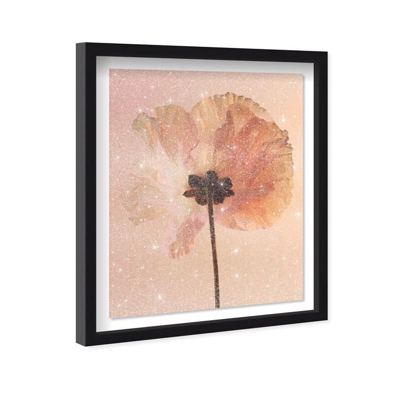 Amber Radiance II Shadowbox Floral & Botanical Print by Oliver Gal, Black Frame, 16 x 20, 21.5"H x 25.5"W, Black Shadowbox