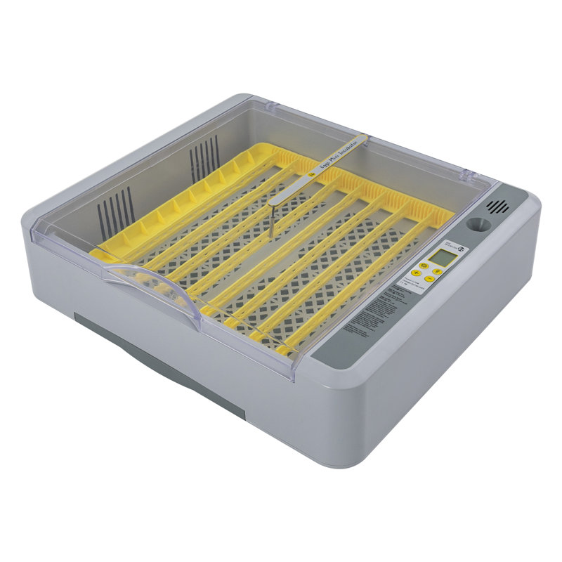 Feimster Chicken Egg Incubator For Up To 30+ Eggs