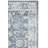 Aayam Performance Oriental Rug-1758872953