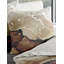 5192 Cotton Abstract Duvet Cover Set with Pillow Shams