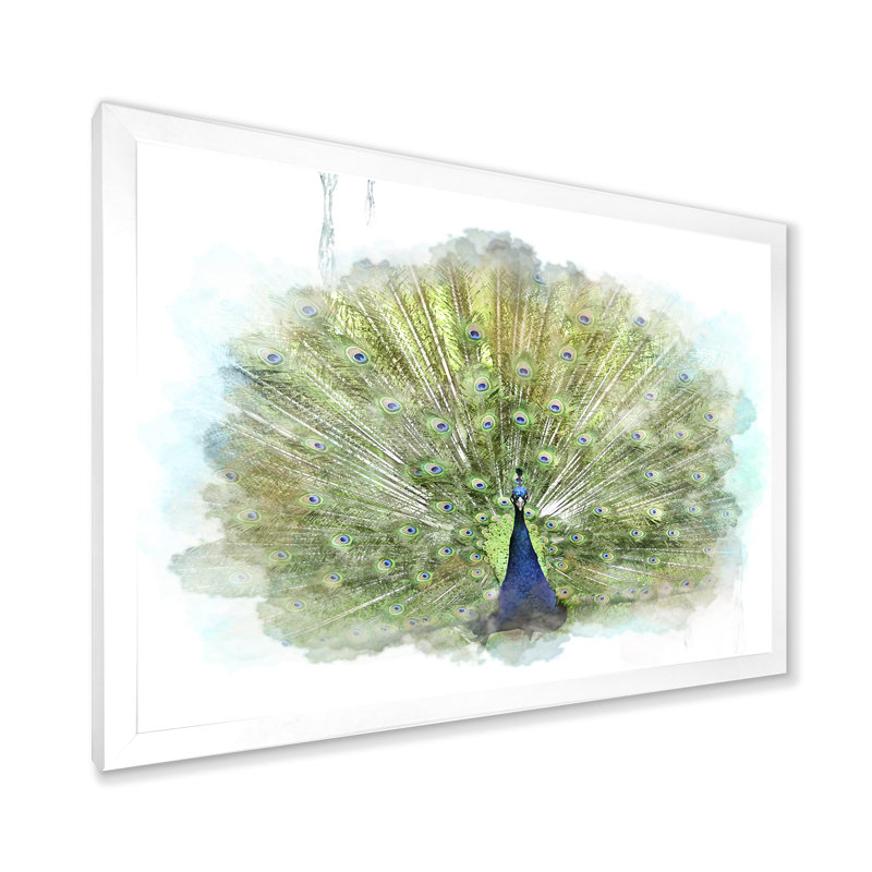 Paon, reproduction d'art sur toile, Toile blanche encadrée, H 24 po x l 32 po x P 1,5 po