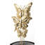Sheba Animals Figurines & Sculptures