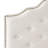 Button tufted design headboard with nailhead trim-2039671415-2039671411-2039671304