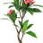 36" Artificial Plumeria Tree in Pot