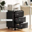 File Cabinet-1830833054