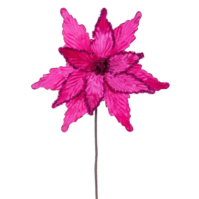 Tiges de poinsettia Cliffo, Rose vif