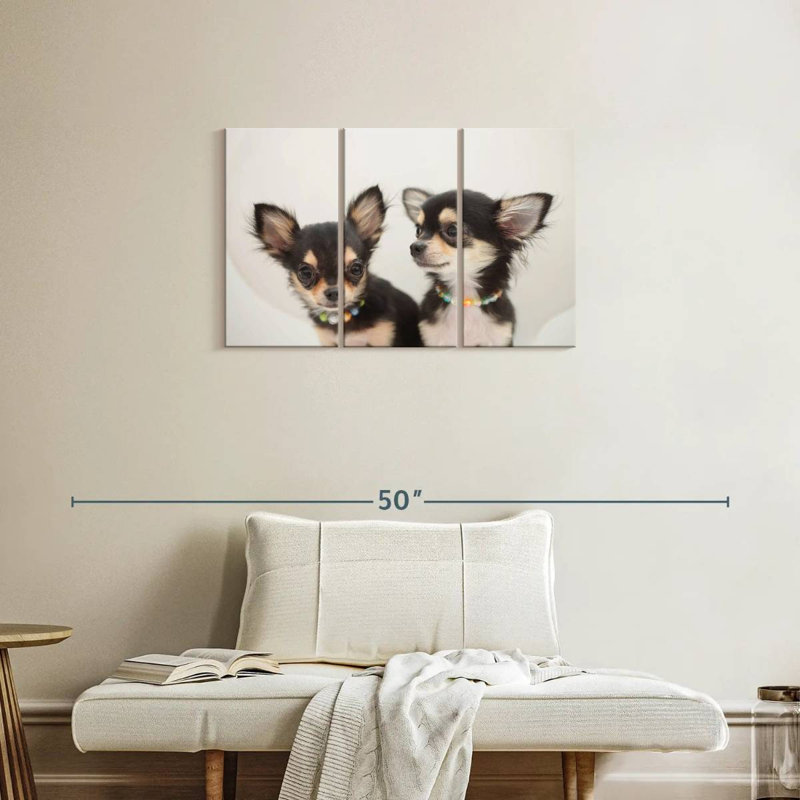Chihuahua Duo