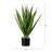 28in. Artificial Agave Plant