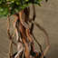76.2cm Faux Ivy Topiary in Pot Liner