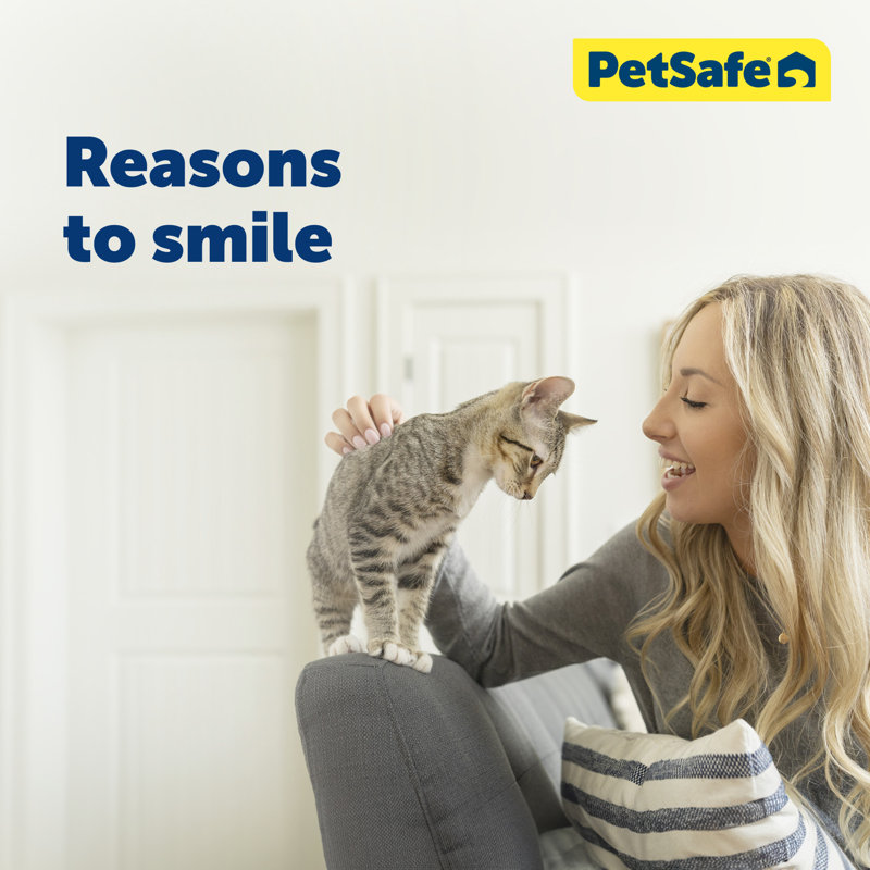 PetSafe Electronic Pet Door Large Wall Extension Tunnel