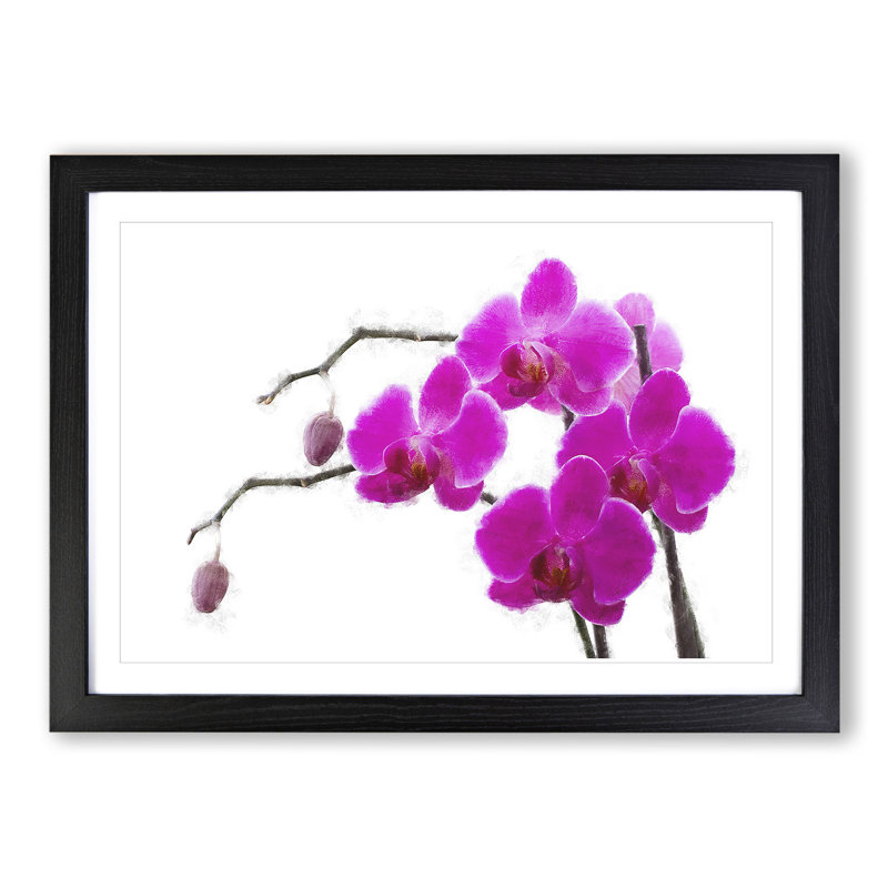 Orchid Flowers Vol.2 - Framed Print, Black Framed, 27cm H x 36cm W x 2cm D
