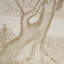 Colette Cosentino Floral Matte Wallpaper by Colette Cosentino-460220046