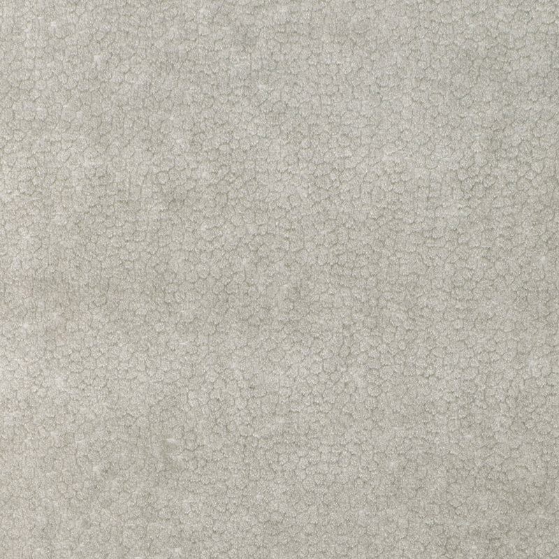 Kravet Design - 37064-1, Light Gray