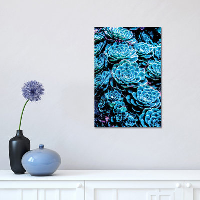Cactus 1 Piece Wrapped Canvas Wall Art