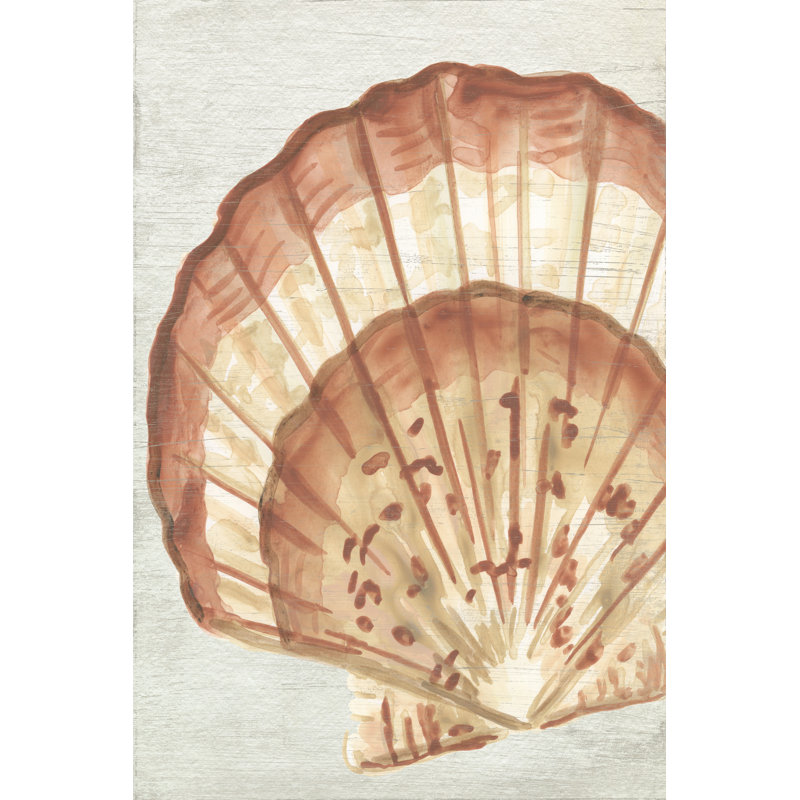 Taymon Vintage Shell Vignette II by June Erica Vess - Wrapped Canvas Print, 46 cm H x 30 cm W