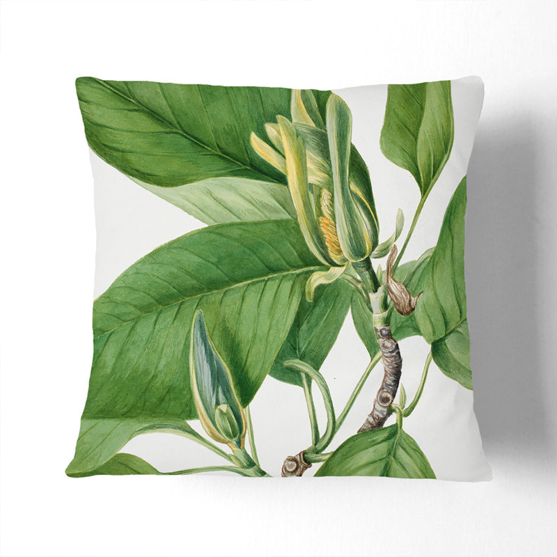 Cucumbertree Square Throw Cushion, Stone, 40cm H x 40cm W x 15cm D