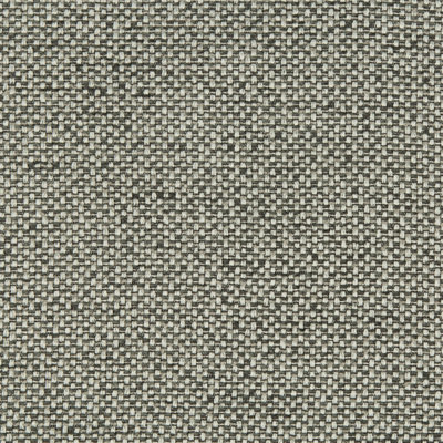 Performance Crypton Home Fabric