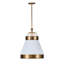 Luminaire suspendu 1 lumière Savarin