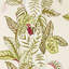 Calathea Wallpaper-50889006