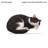 1pc 2D Flat Printing Black White Cat Graphic Shaped Stuffed Throw Pillow 35cm-139533287