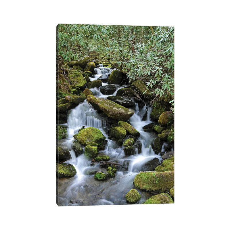 Smokey Mountain Waterfall by Brian Wolf - Wrapped Canvas Print, 45.72cm H x 30.48cm W x 1.91cm D