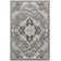 Biarni Oriental Indoor Rug