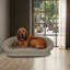 Classic Canvas Bolster with Contrast Cording-477573684-477573691