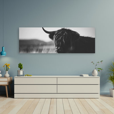 Magnifique vache monochrome Highland - décor de toile animaux blancs