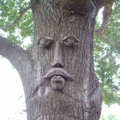 Face d'arbre Dagwood