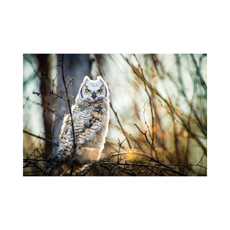 Hibou à la forêt, H 12 po x l 18 po x P 1,5 po