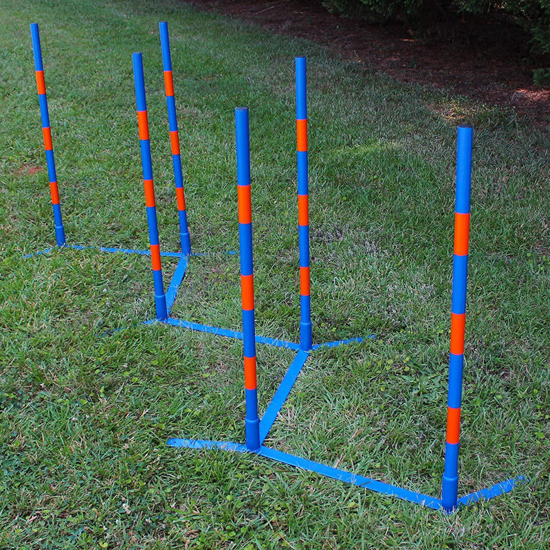 Lord Anson Dog Agility Weave Poles - Ensemble de poteaux de tissage Agility