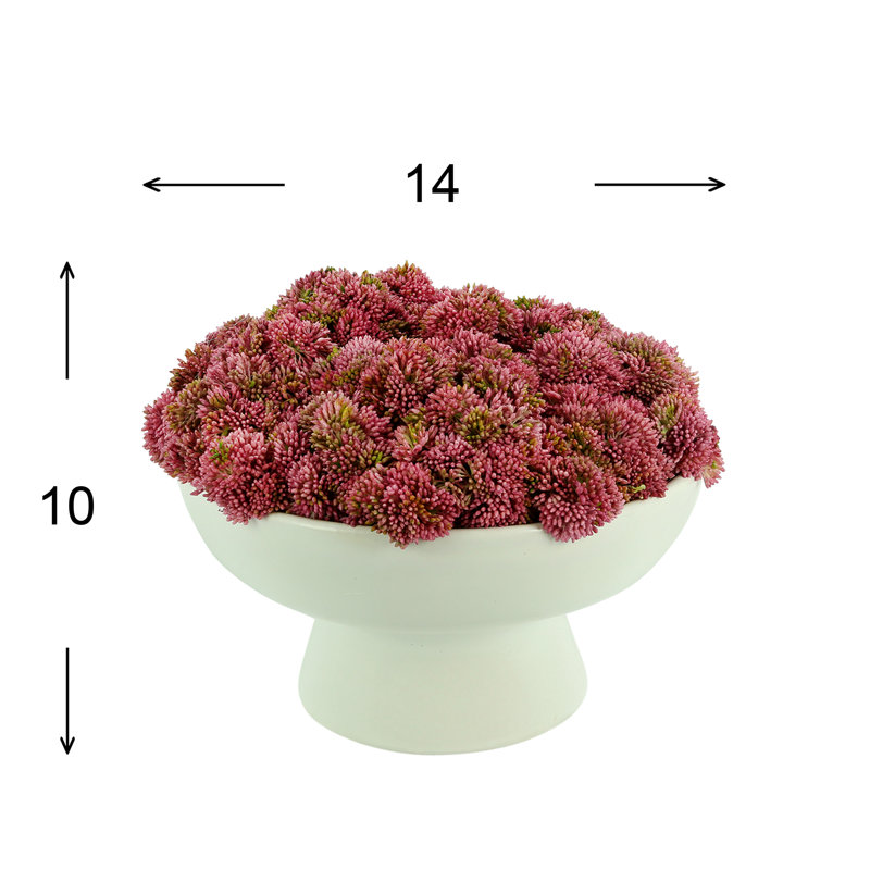 Arrangement floral succulent dans un vase, Rose