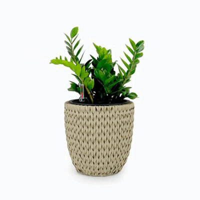 Pot à fleur Barmore