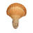 Alday Shell LED Night Light