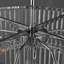12 - Light Chandelier