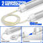 Naomi Grow Light