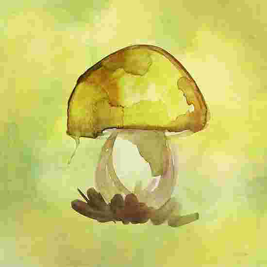Champignon précieux, H 12 po x l 12 po