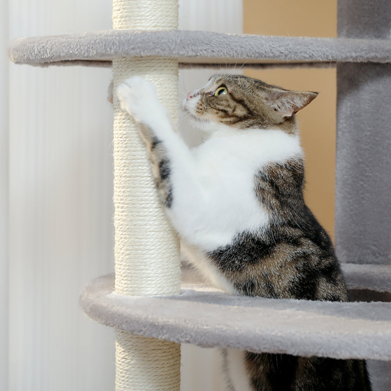 Enzlee 61'' H Cat Tree, Gray