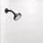 Eastport II Full/Standard Adjustable Shower Head-53544665