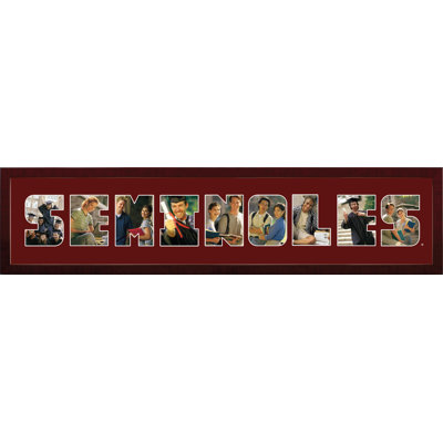 Cadre photo ncaa floride state seminoles collage