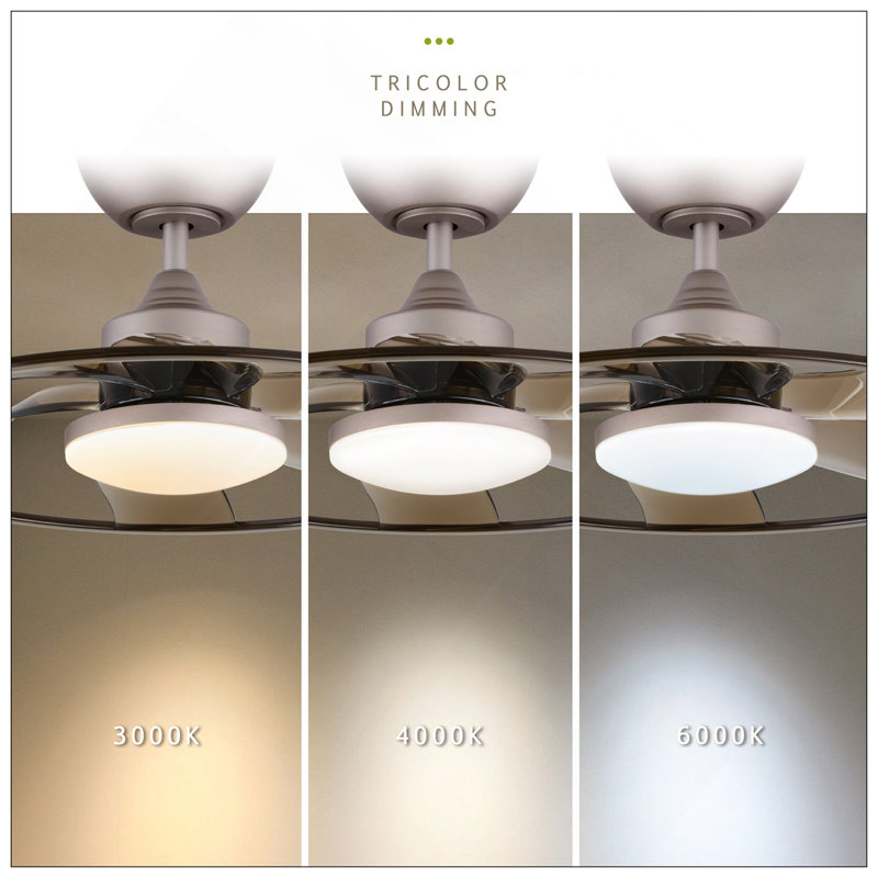 Light Pro In. Ventilateur de plafond intelligent à DEL avec télécommande pour café