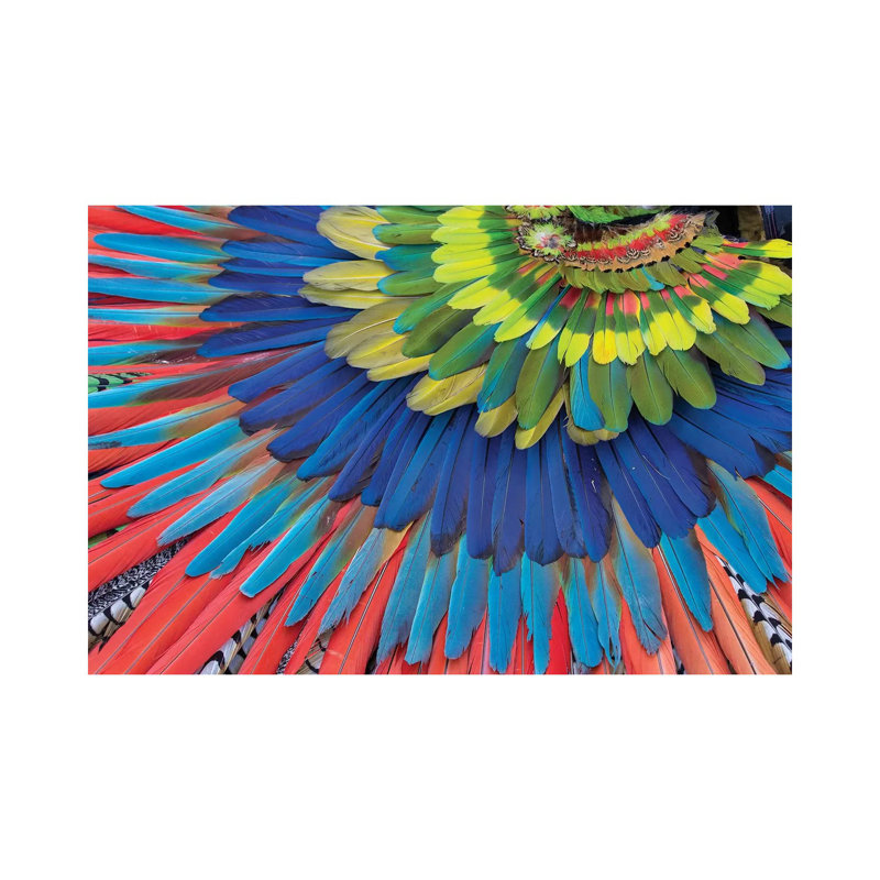 San Miguel De Allende, Mexique. "Native Feather Coiffe" par Darrell Gulin - Photographie sur toile tendue