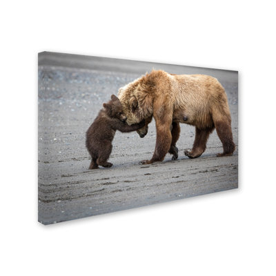 Art mural sur toile tendue - «A Little Bear Hug» de Renee Doyle pour décoration de salon, de chambre à coucher ou de bureau - 22 x 32